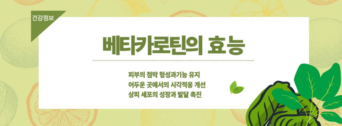 베타카로틴 효능