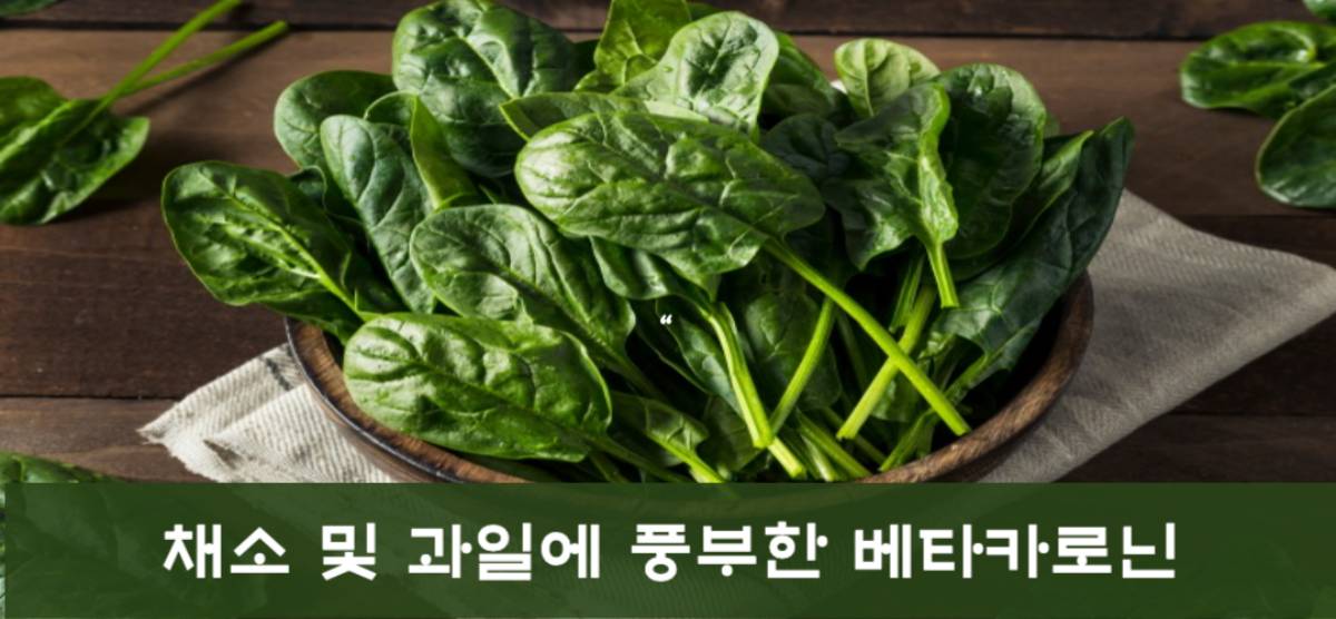 베타카로틴