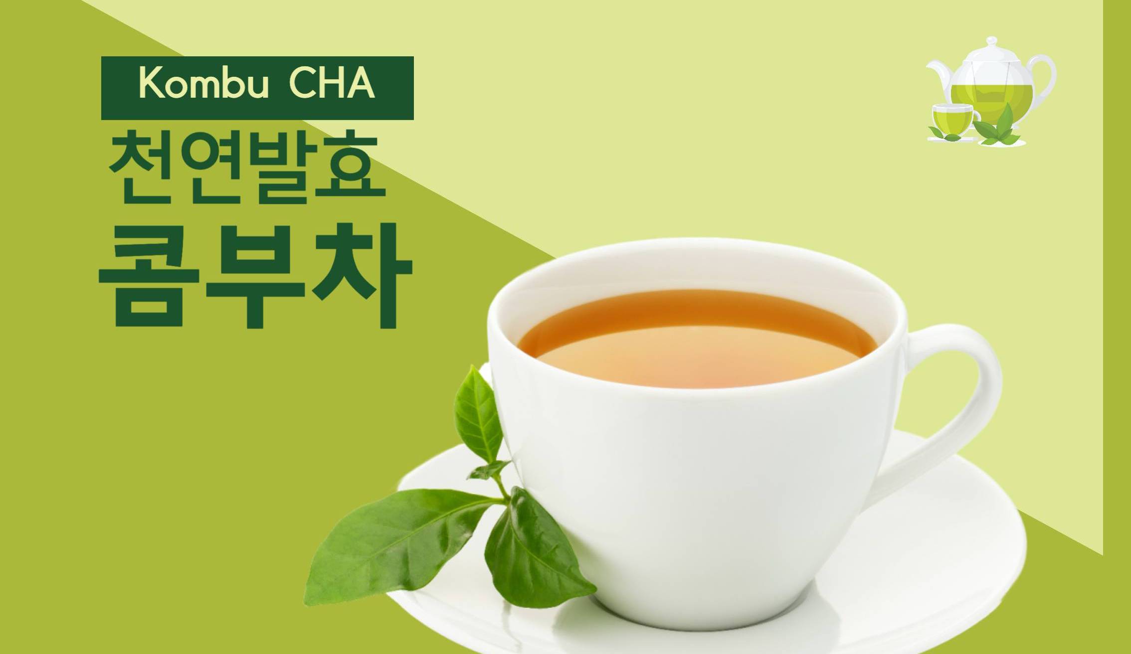 콤부차 하루 섭취량