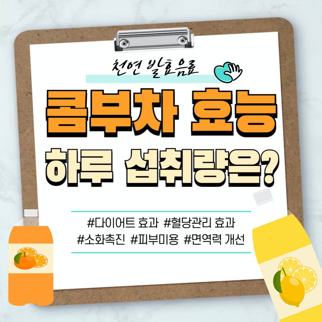 콤부차 효능
