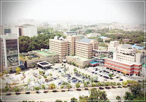 충북대학교병원