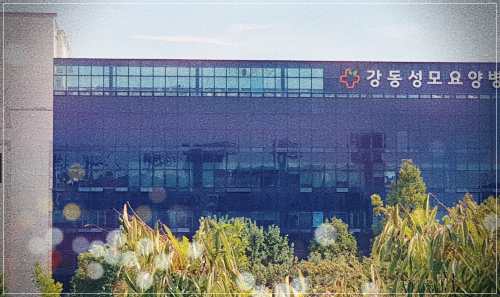 서울 강동성모요양병원 입원 비용
