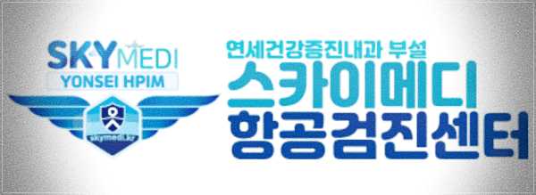 스카이메디 항공신체검사